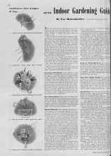 Better Homes & Gardens June 1939 Magazine Article: Indoor Gardening Guide