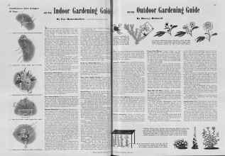 Better Homes & Gardens June 1939 Magazine Article: Page 22