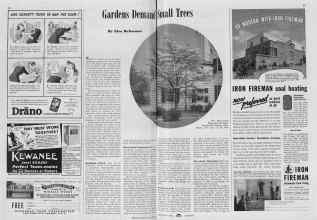 Better Homes & Gardens June 1939 Magazine Article: Gardens Demand Small Trees