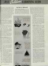 Better Homes & Gardens July 1939 Magazine Article: Outdoor GARDENING GUIDE