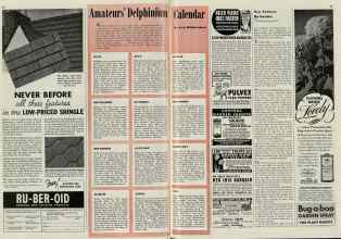 Better Homes & Gardens July 1939 Magazine Article: Amateurs' Delphinium Calendar