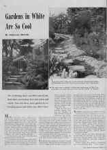 Better Homes & Gardens August 1939 Magazine Article: Gardens in White Are So Cool