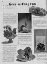 Better Homes & Gardens August 1939 Magazine Article: AUGUST Indoor Gardening Guide