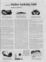 Better Homes & Gardens August 1939 Magazine Article: AUGUST Outdoor Gardening Guide