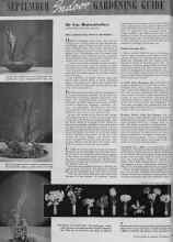 Better Homes & Gardens September 1939 Magazine Article: SEPTEMBER Indoor GARDENING GUIDE
