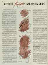 Better Homes & Gardens October 1939 Magazine Article: OCTOBER Indoor GARDENING GUIDE