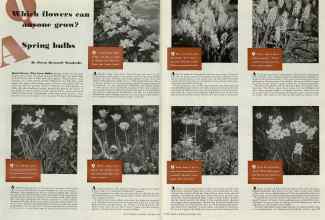 Better Homes & Gardens October 1939 Magazine Article: Which flowers can anyone grow?