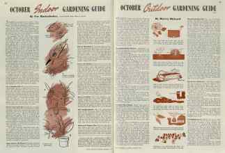 Better Homes & Gardens October 1939 Magazine Article: Page 28