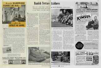 Better Homes & Gardens October 1939 Magazine Article: Banish Terrace Baldness