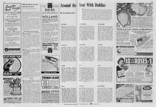 Better Homes & Gardens October 1939 Magazine Article: Around the Year With Dahlias