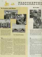Better Homes & Gardens November 1939 Magazine Article: Its Gardens and Homes