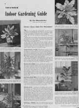 Better Homes & Gardens November 1939 Magazine Article: Indoor Gardening Guide
