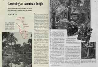 Better Homes & Gardens December 1939 Magazine Article: Gardening an American Jungle