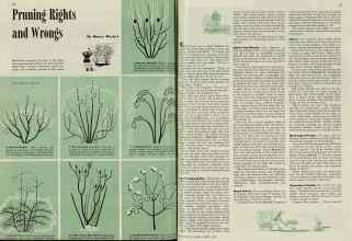Better Homes & Gardens January 1940 Magazine Article: Pruning Rights and Wrongs