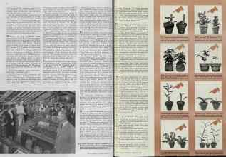 Better Homes & Gardens February 1940 Magazine Article: Page 16