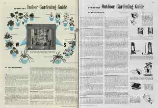 Better Homes & Gardens February 1940 Magazine Article: FEBRUARY Indoor Gardening Guide