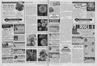 Better Homes & Gardens February 1940 Magazine Article: Page 88