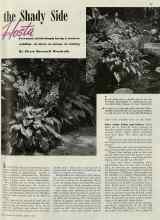 Better Homes & Gardens March 1940 Magazine Article: Hosta