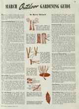 Better Homes & Gardens March 1940 Magazine Article: MARCH Outdoor GARDENING GUIDE