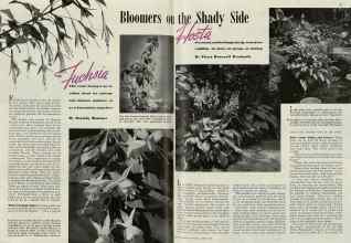 Better Homes & Gardens from 1940 | Fuchsia