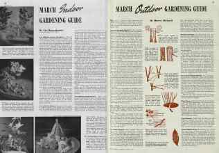 Better Homes & Gardens March 1940 Magazine Article: Page 28