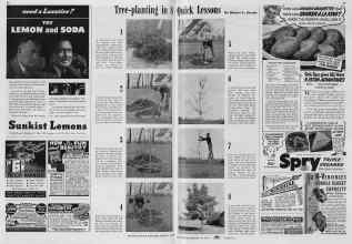 Better Homes & Gardens March 1940 Magazine Article: Page 88