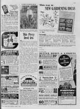 Better Homes & Gardens April 1940 Magazine Article: This Prexy Bred Iris