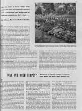 Better Homes & Gardens May 1940 Magazine Article: WAR CUT BULB SUPPLY?