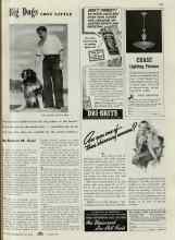 Better Homes & Gardens June 1940 Magazine Article: Big Dogs COST LITTLE