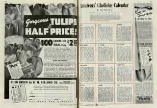 Better Homes & Gardens June 1940 Magazine Article: Page 106