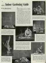 Better Homes & Gardens July 1940 Magazine Article: JULY Indoor Gardening Guide