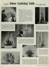 Better Homes & Gardens August 1940 Magazine Article: AUGUST Indoor Gardening Guide