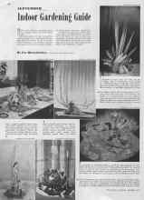 Better Homes & Gardens September 1940 Magazine Article: SEPTEMBER Indoor Gardening Guide