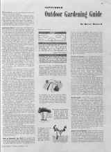 Better Homes & Gardens September 1940 Magazine Article: SEPTEMBER Outdoor Gardening Guide