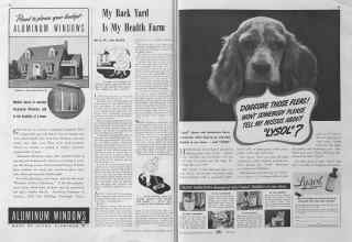 Better Homes & Gardens September 1940 Magazine Article: Page 48