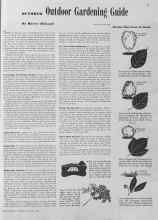 Better Homes & Gardens October 1940 Magazine Article: OCTOBER Outdoor Gardening Guide