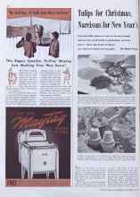 Better Homes & Gardens October 1940 Magazine Article: Tulips for Christmas, Narcissus for New Year's