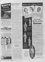 Better Homes & Gardens October 1940 Magazine Article: Euonymus--A Good Name