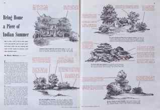 Better Homes & Gardens October 1940 Magazine Article: Bring Home a Piece of Indian Summer