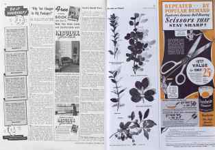 Better Homes & Gardens October 1940 Magazine Article: Page 64