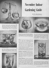 Better Homes & Gardens November 1940 Magazine Article: November Indoor Gardening Guide