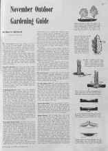 Better Homes & Gardens November 1940 Magazine Article: November Outdoor Gardening Guide