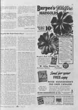 Better Homes & Gardens January 1941 Magazine Article: Article