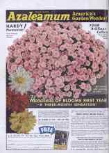 Better Homes & Gardens January 1941 Magazine Article: Page 74