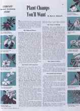 Better Homes & Gardens February 1941 Magazine Article: Plant Champs You'll Want