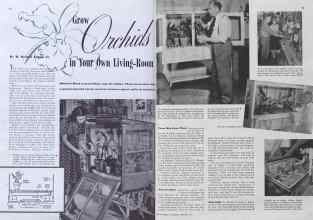 Better Homes & Gardens February 1941 Magazine Article: Grow Orchids in Your Own Living-Room