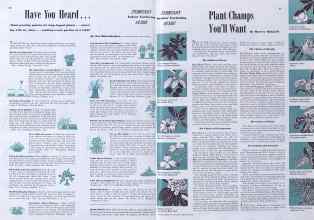 Better Homes & Gardens February 1941 Magazine Article: Page 20