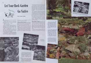 Better Homes & Gardens February 1941 Magazine Article: Let Your Rock Garden Go Native