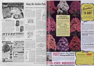 Better Homes & Gardens February 1941 Magazine Article: Page 62