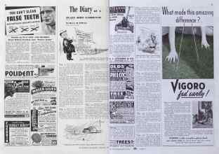 Better Homes & Gardens February 1941 Magazine Article: The Diary OF A PLAIN DIRT GARDENER